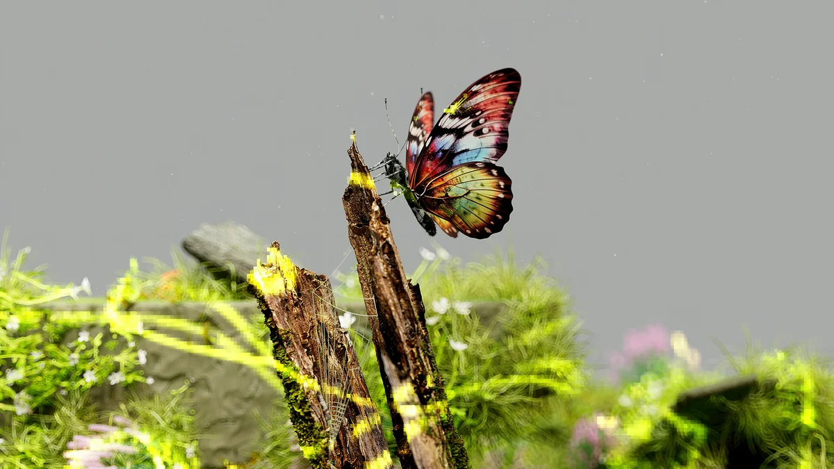 Internationale dag van de biodiversiteit!